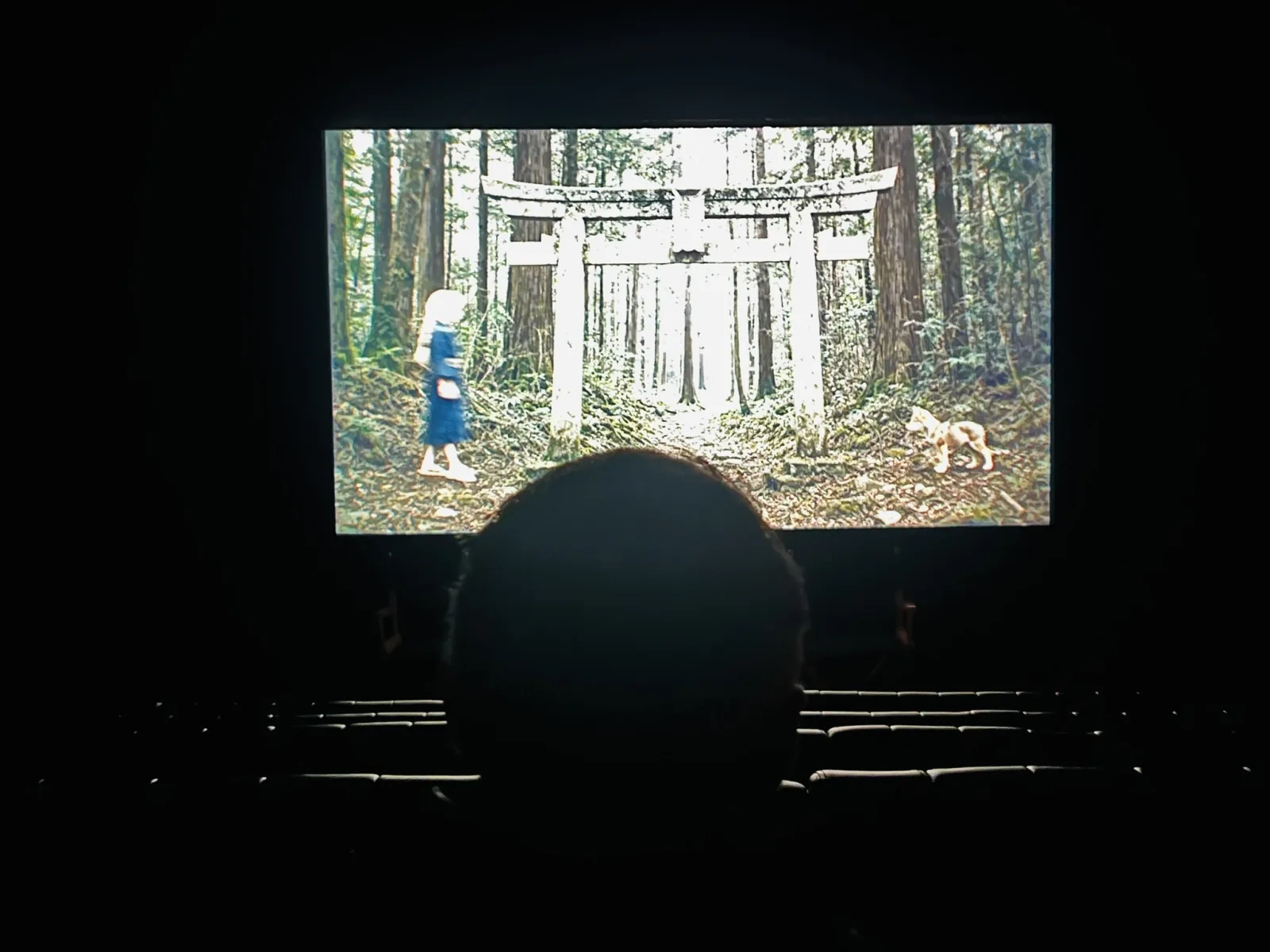 The film on the big screen at the NYC screening, an audience member silhouetted in front.
