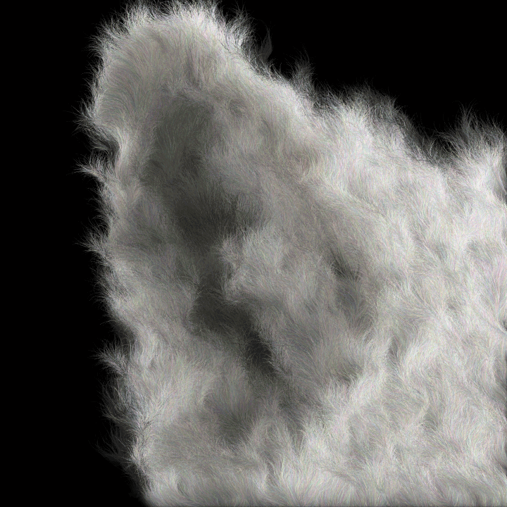 Lupus Albus Auris Dextra Unfurled